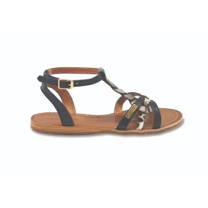 HAMS Black/Gold