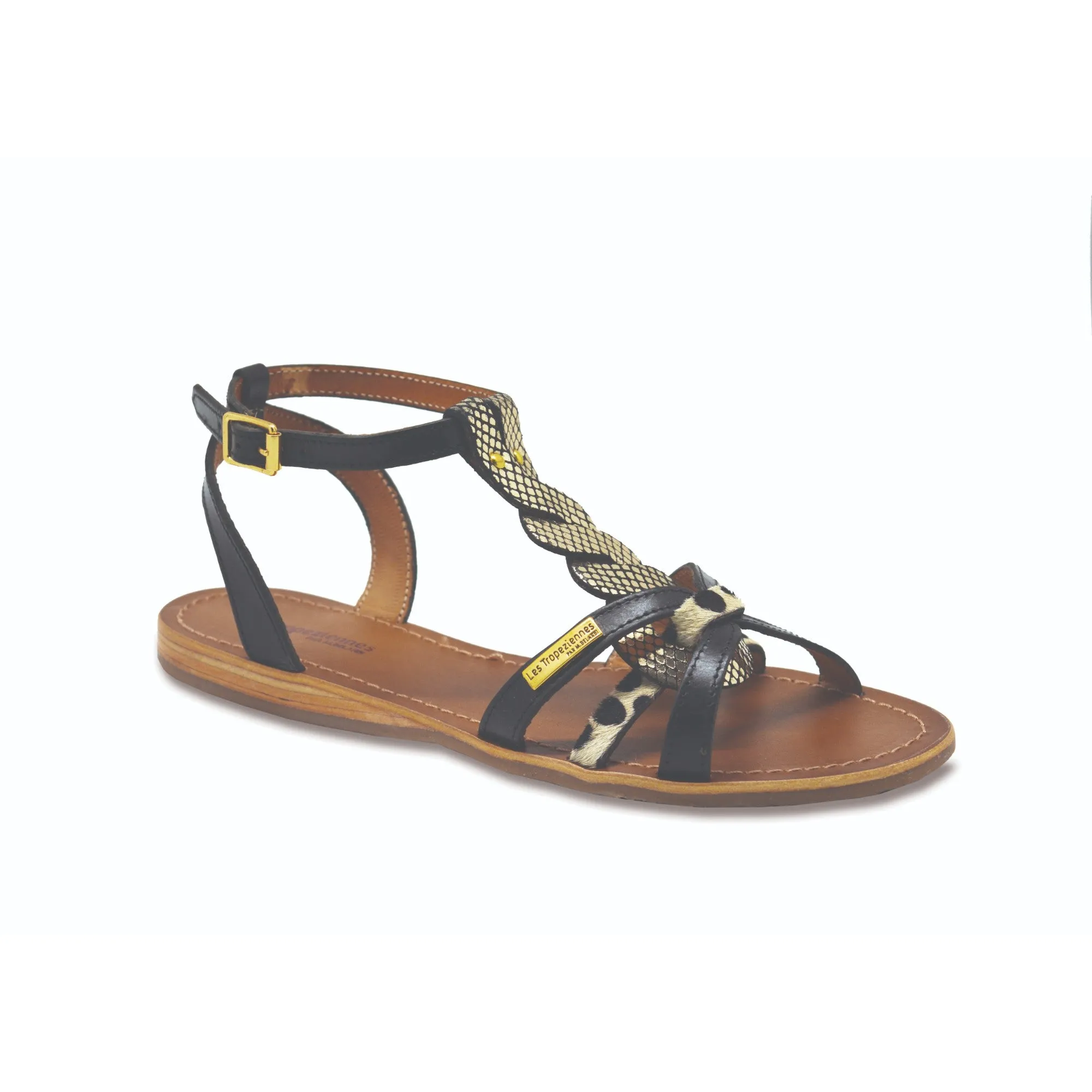 HAMS Black/Gold